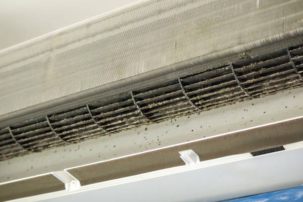 Best Emergency Air Duct Cleaning Services in Shoshone, ID